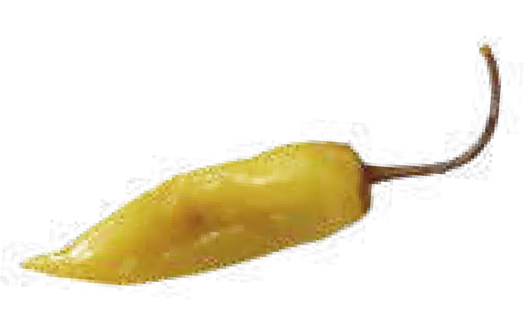 PIMENT EN <br> ESCABECHE