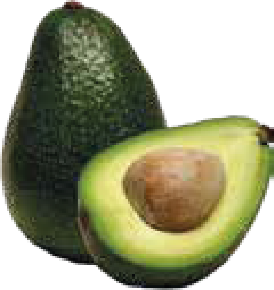 AVOCAT