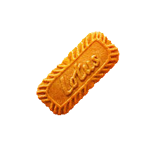 BISCUIT CARAMÉLISÉ