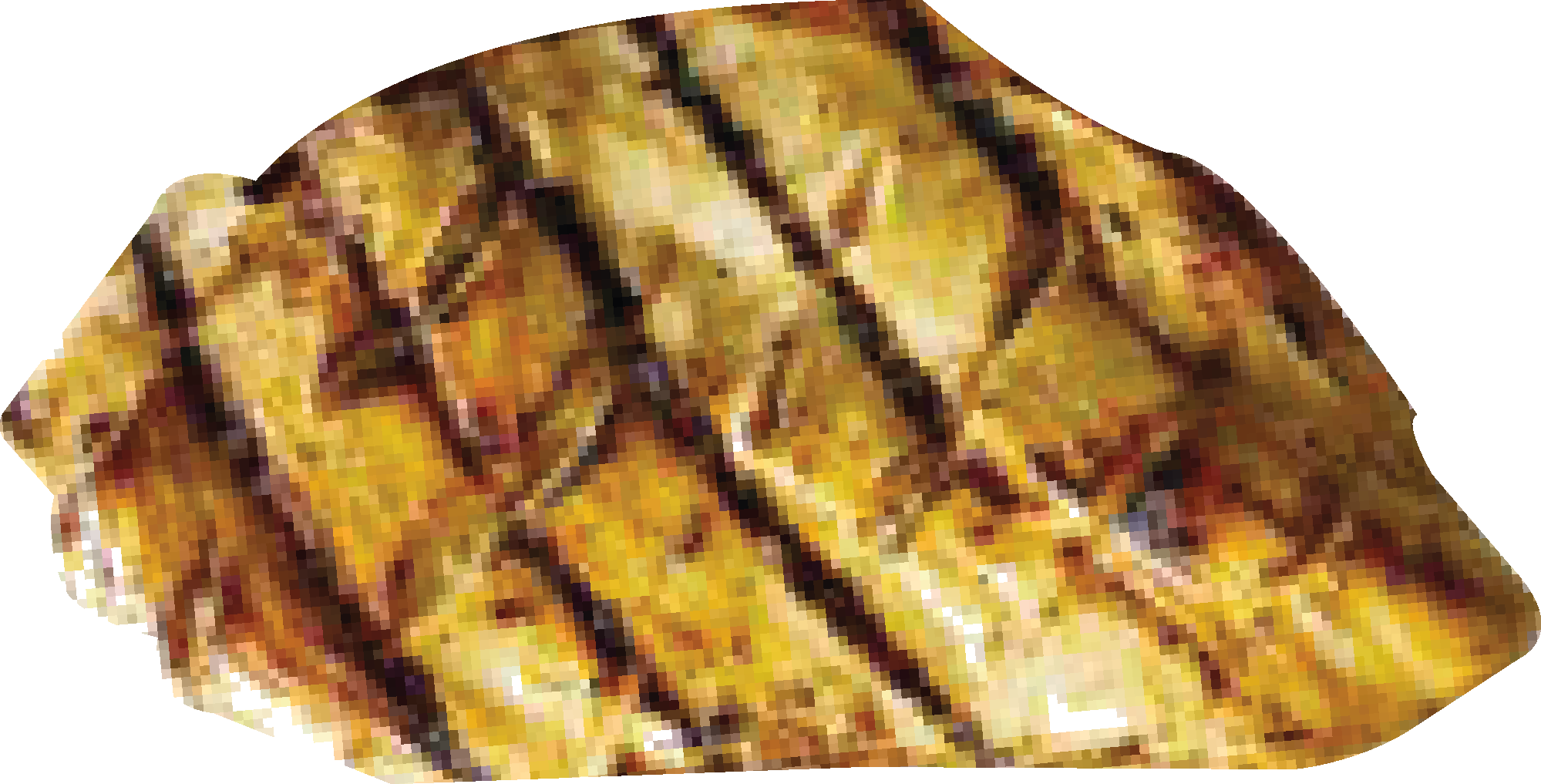 POULET