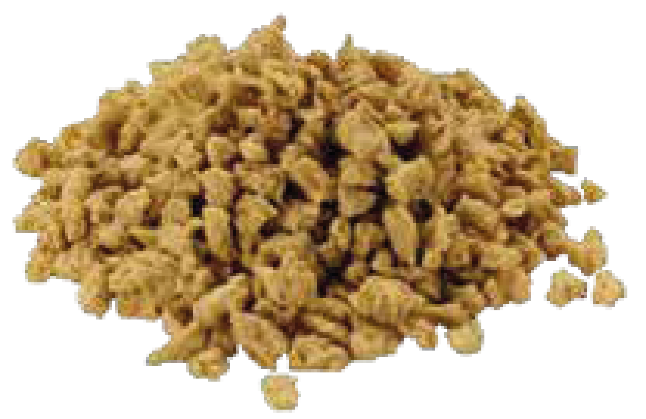 SOJA